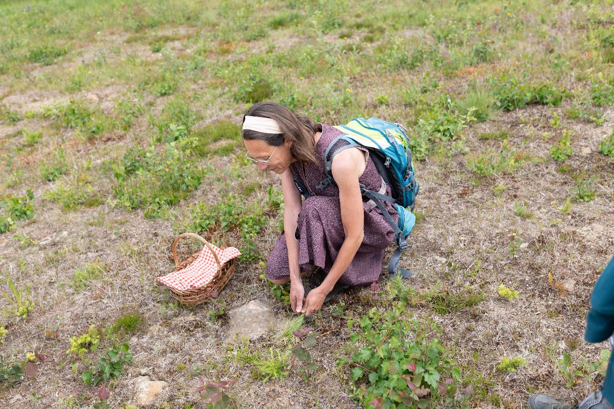 Kr&auml;uterwanderung