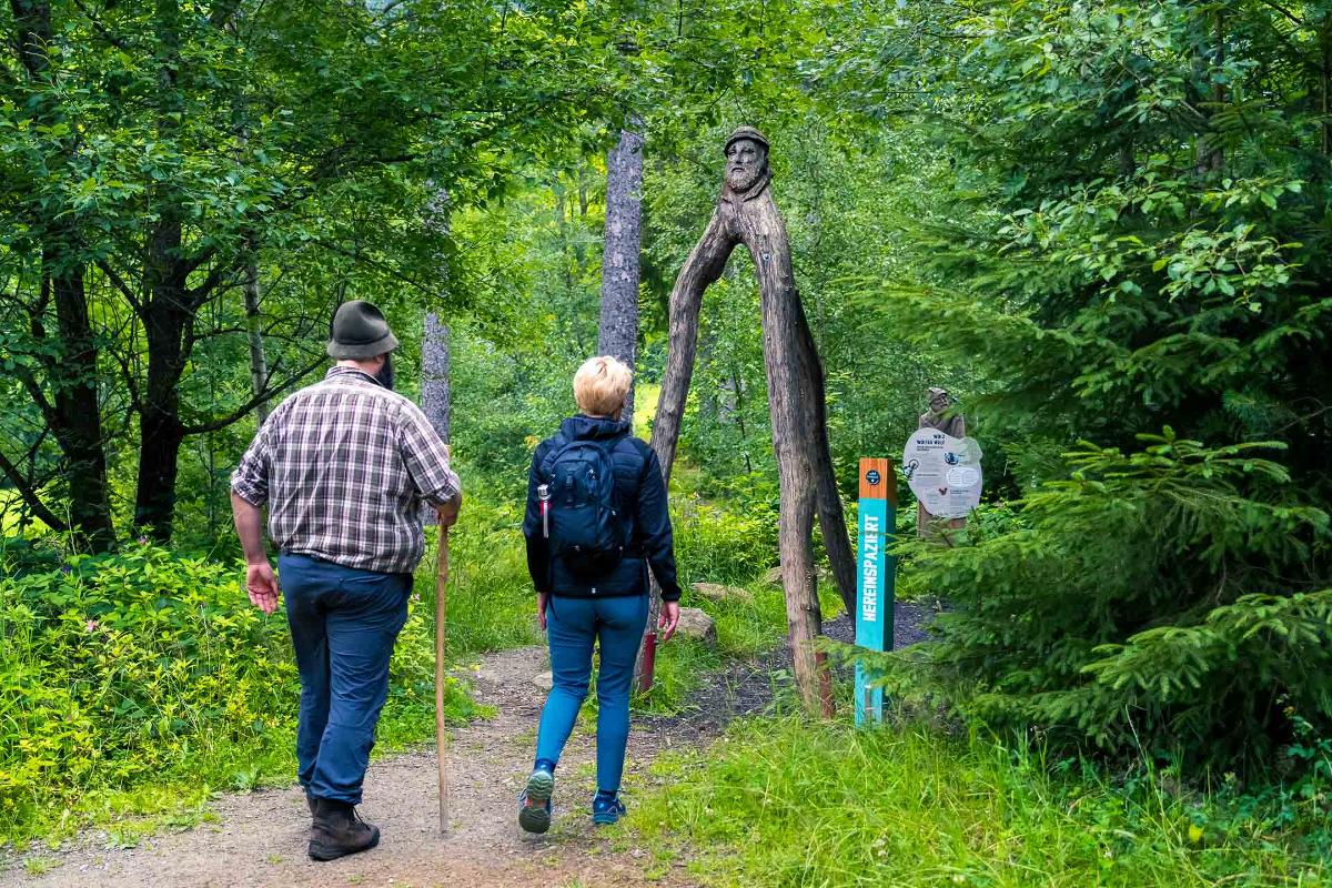 Natur-Entdecker-Pfad