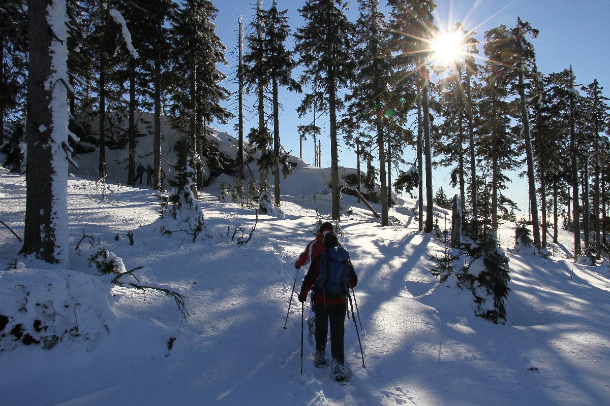 Koller_&Uuml;berraschungstour