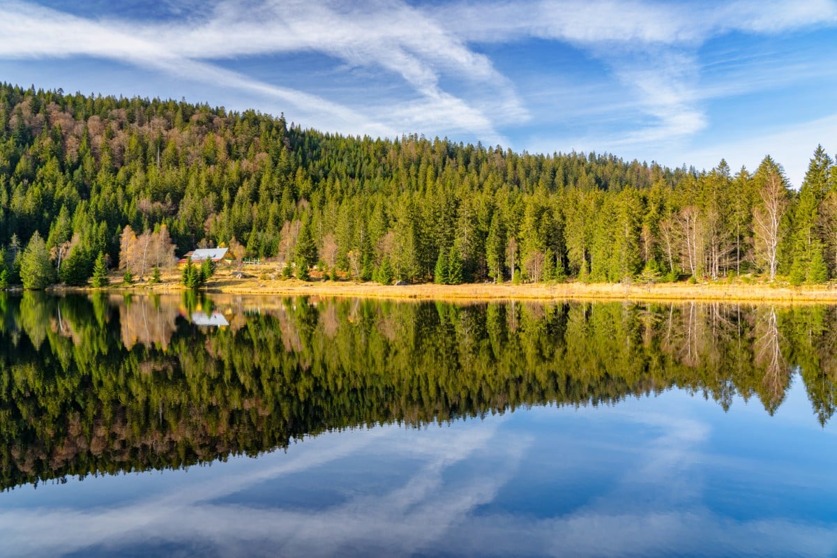 Ein ruhiger See spiegelt sich im Bayerischen Wald, blauen Himmel und Wolken mit einem kleinen Haus am Ufer wider.