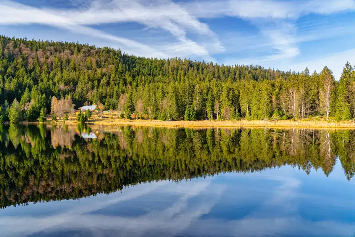 Der malerische kleine Arbersee im Bayerischen Wald