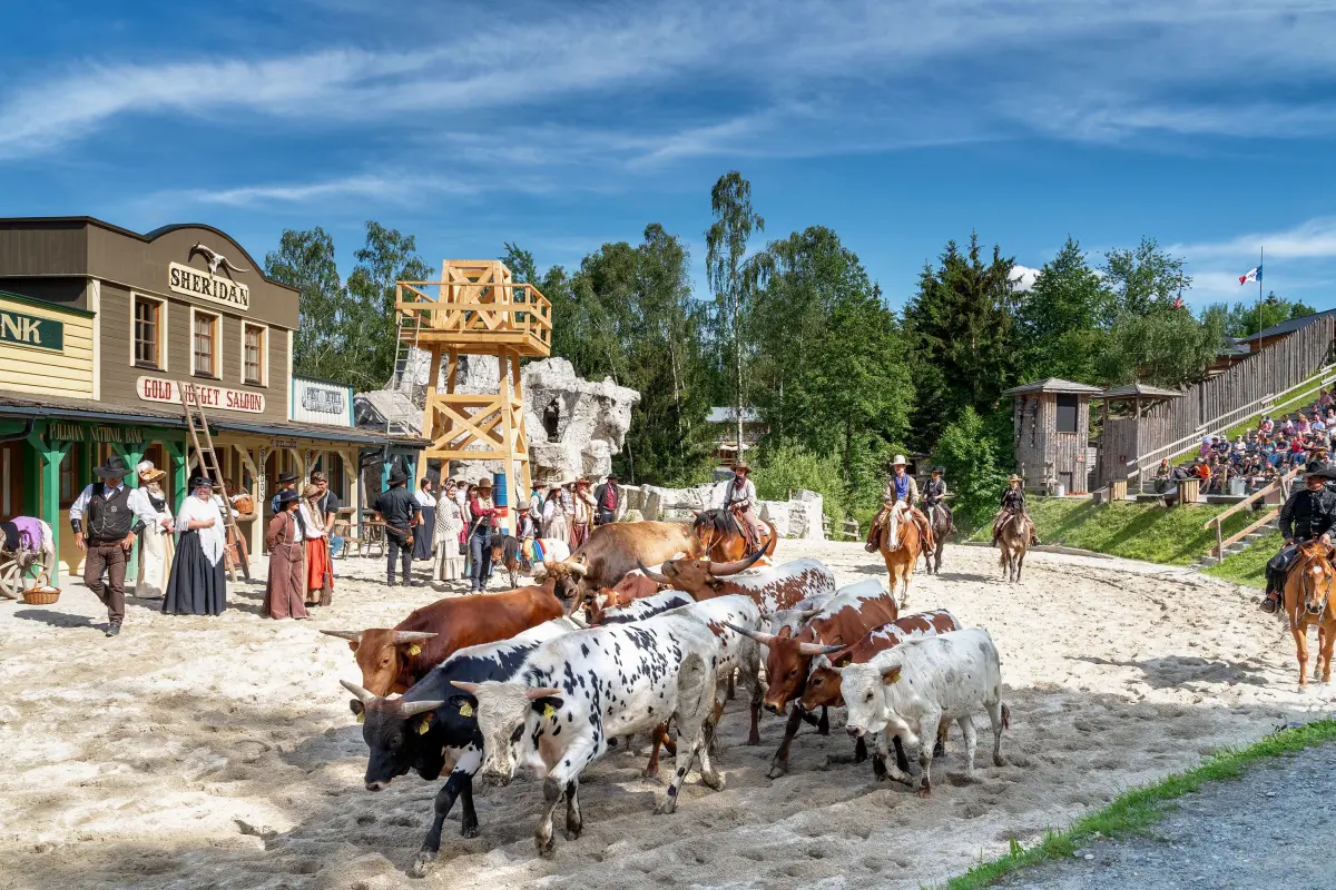 Westernstadtszene mit Menschen in historischen Kostümen, Rindern, Pferden und Holzgebäuden unter blauem Himmel.